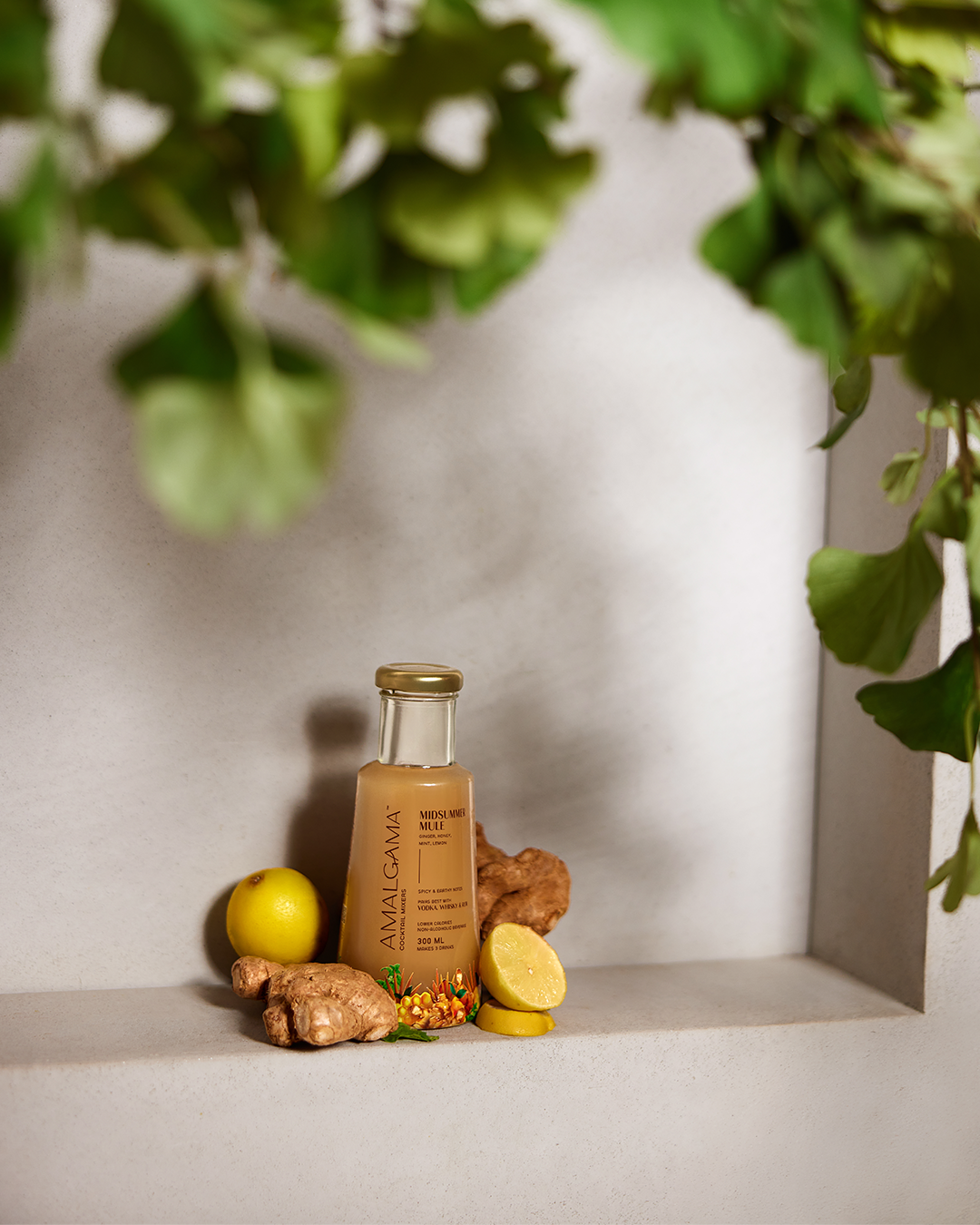 Midsummer Mule (Pack of 6)