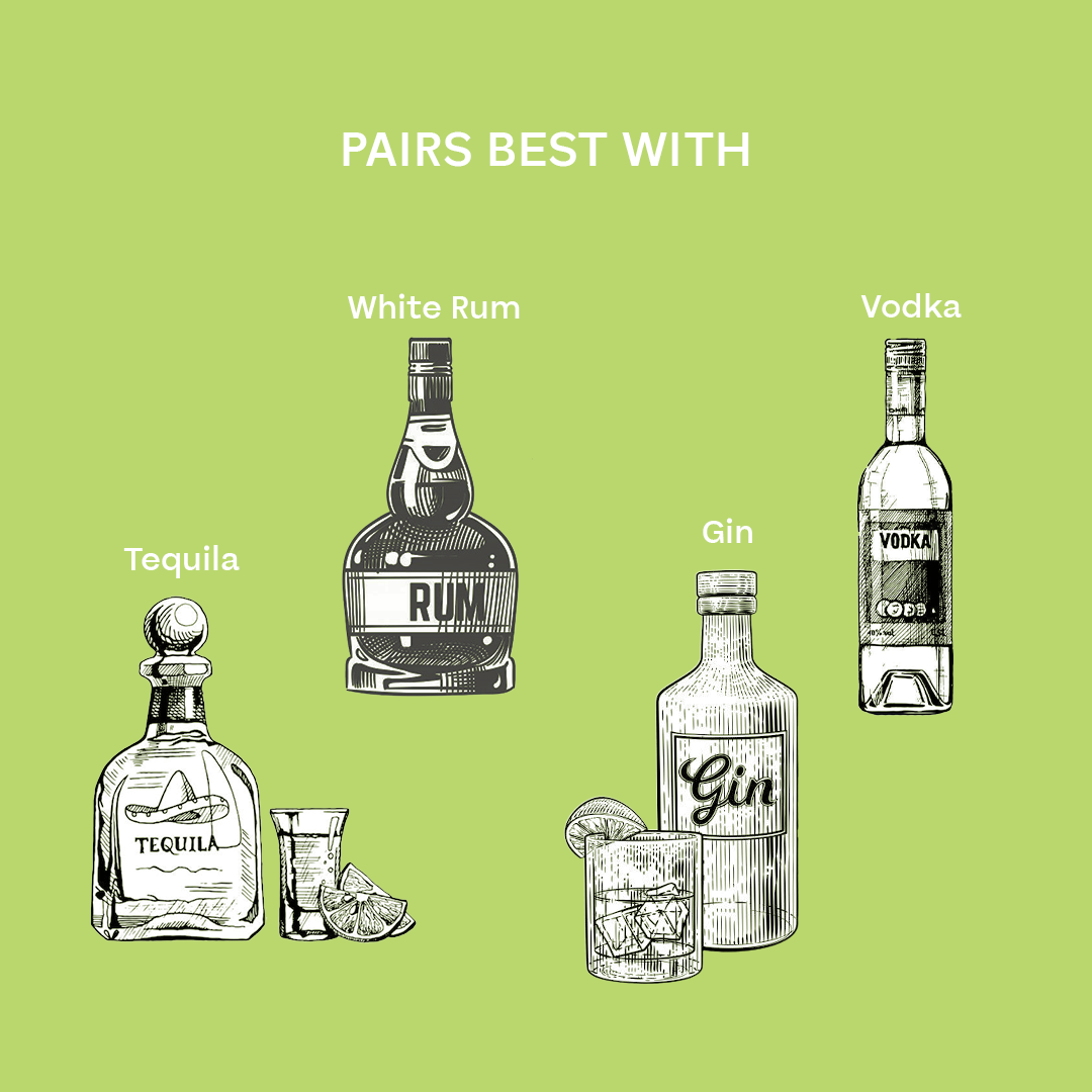 Enchanted Affair (Pack of 6)